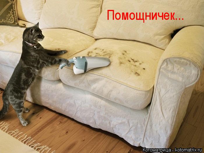 Помощничек...... Котоматрица: Помощничек...