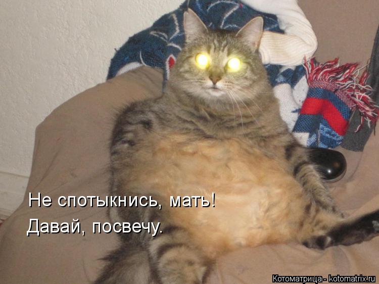 Котоматрица: Не спотыкнись, мать! Давай, посвечу.