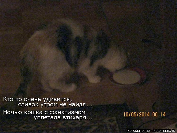 Кто-то очень удивится, сливок утром не найдя... Ночью кошка с фанатизмом уплетала втихаря...... Котоматрица: Кто-то очень удивится, сливок утром не найдя... Ночью кошка с фанатизмом уплетала втихаря...