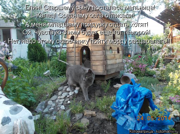 Блин! Старшему сыну досталась мельница! А меня,младшему придурку отдать хотят! Ой, чувствую с ним буд... Котоматрица: Блин! Старшему сыну досталась мельница! А меня,младшему придурку отдать хотят! Ой, чувствую с ним будет еще тот геморой! Нет, надо этому сказ