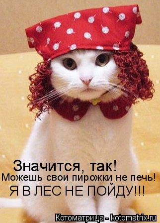 Котоматрица: Значится, так! Можешь свои пирожки не печь! Я В ЛЕС НЕ ПОЙДУ!!!