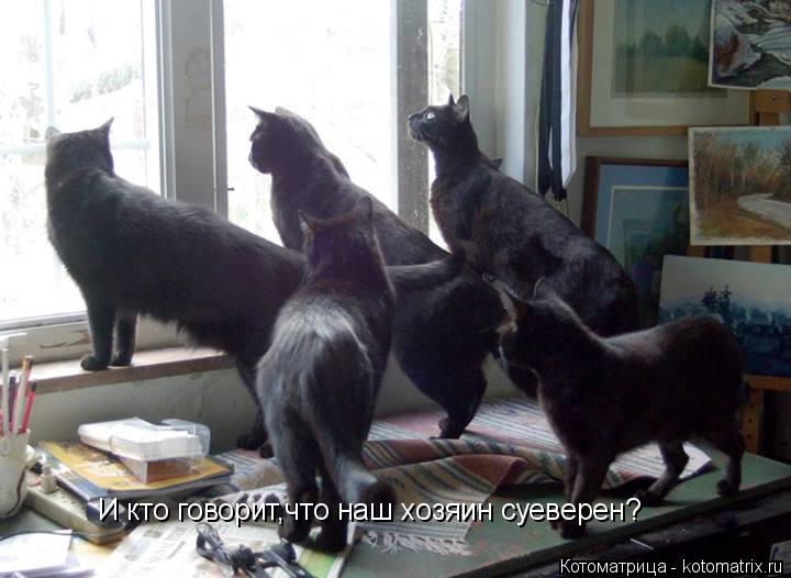 Котоматрица: И кто говорит,что наш хозяин суеверен?