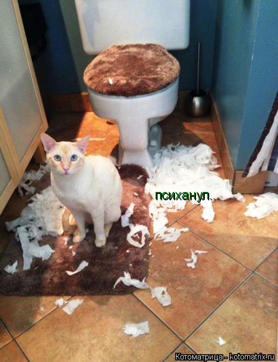 Котоматрица: психанул...