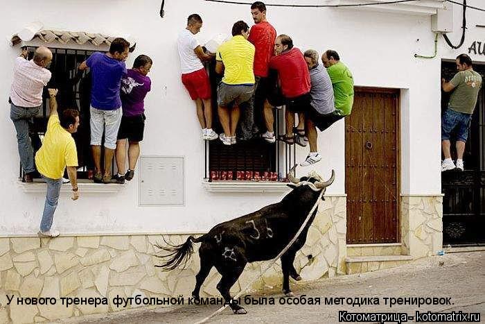 У нового тренера футбольной команды была особая методика тренировок.... Котоматрица: У нового тренера футбольной команды была особая методика тренировок.