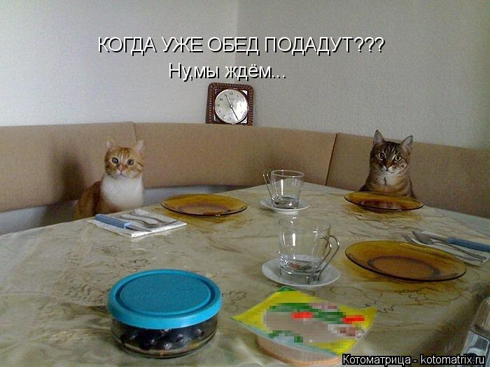 КОГДА УЖЕ ОБЕД ПОДАДУТ??? Ну,мы ждём...... Котоматрица: КОГДА УЖЕ ОБЕД ПОДАДУТ??? Ну,мы ждём...