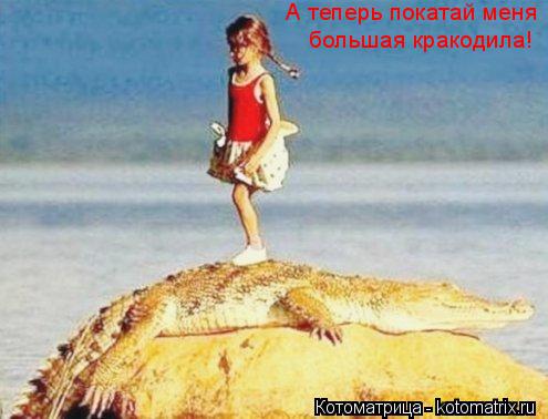 Котоматрица: А теперь покатай меня большая кракодила!