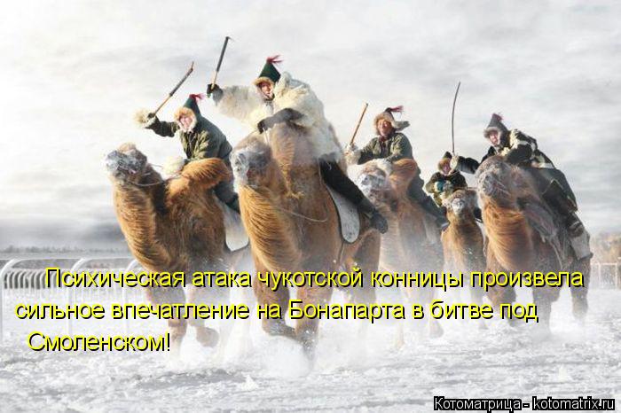 Психическая атака чукотской конницы произвела сильное впечатление на Бонапарта в битве под Смоленском... Котоматрица: Психическая атака чукотской конницы произвела сильное впечатление на Бонапарта в битве под Смоленском!