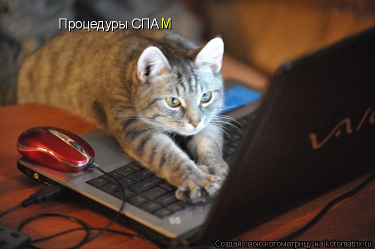 Котоматрица: Процедуры СПА М
