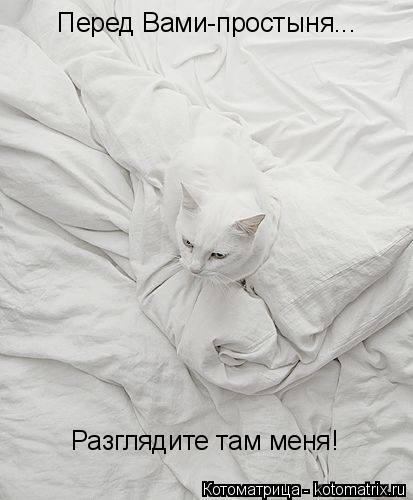 Перед Вами-простыня... Разглядите там меня!... Котоматрица: Перед Вами-простыня... Разглядите там меня!
