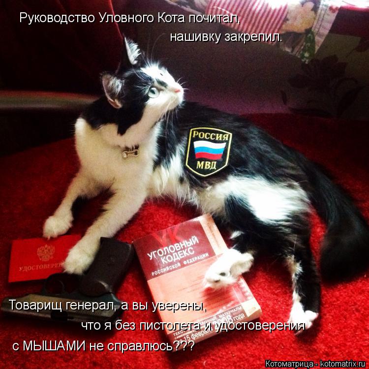Котоматрица: Руководство Уловного Кота почитал, нашивку закрепил. Товарищ генерал, а вы уверены, что я без пистолета и удостоверения с МЫШАМИ не справлю