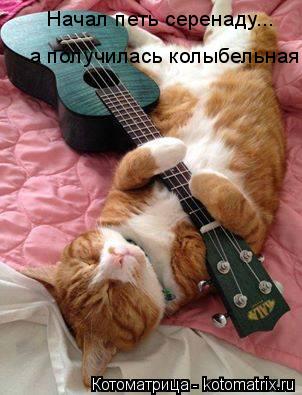 Котоматрица: Начал петь серенаду... а получилась колыбельная.