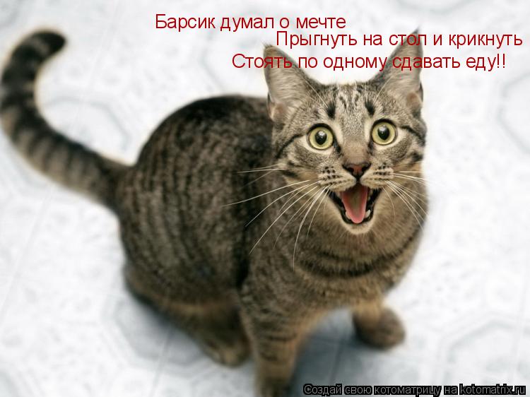 Котоматрица: Барсик думал о мечте Прыгнуть на стол и крикнуть Стоять по одному сдавать еду!!