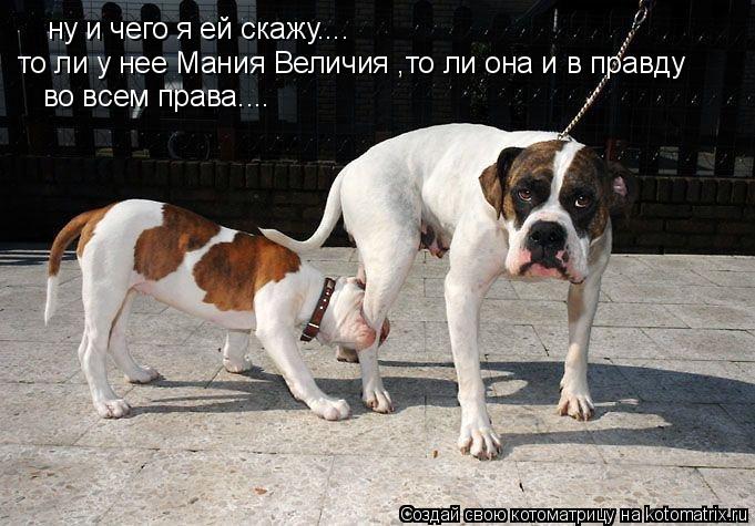 ну и чего я ей скажу.... то ли у нее Мания Величия ,то ли она и в правду во всем права....... Котоматрица: ну и чего я ей скажу.... то ли у нее Мания Величия ,то ли она и в правду во всем права....