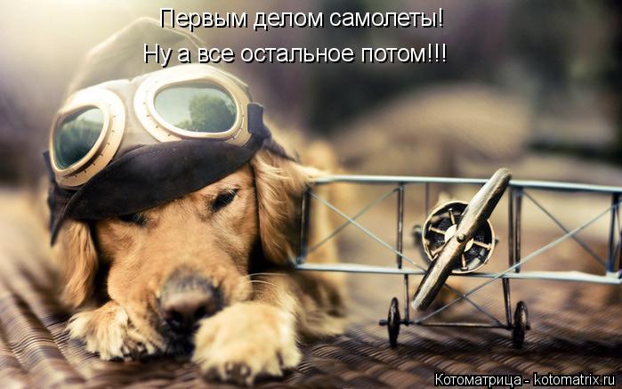 Первым делом самолеты! Ну а все остальное потом!!!... Котоматрица: Первым делом самолеты! Ну а все остальное потом!!!