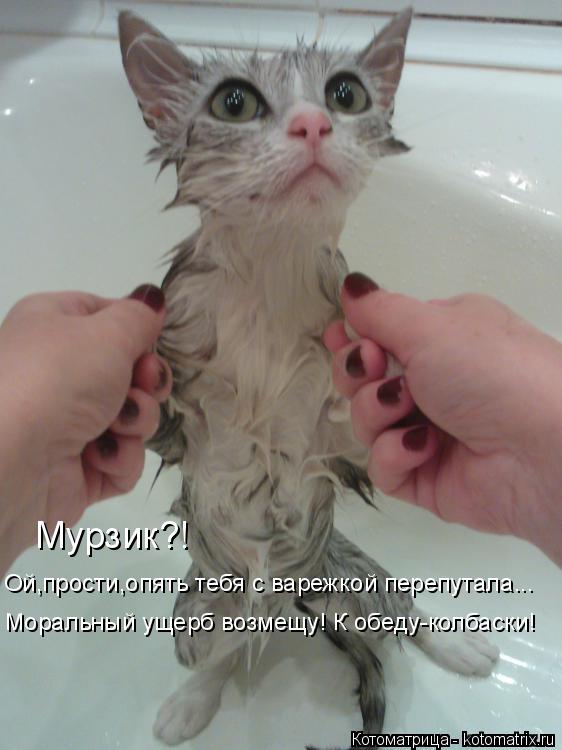 Котоматрица: Мурзик?! Ой,прости,опять тебя с варежкой перепутала... Моральный ущерб возмещу! К обеду-колбаски!