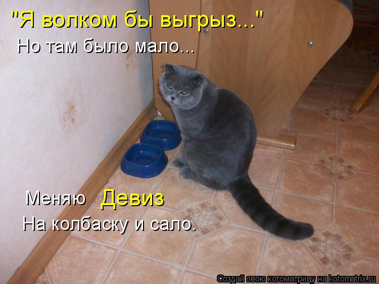 Котоматрица: "Я волком бы выгрыз..." Меняю  Девиз На колбаску и сало. Но там было мало...