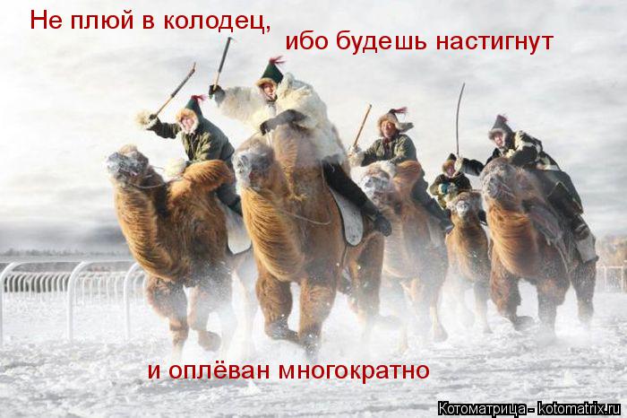 Не плюй в колодец, ибо будешь настигнут и оплёван многократно... Котоматрица: Не плюй в колодец, ибо будешь настигнут и оплёван многократно