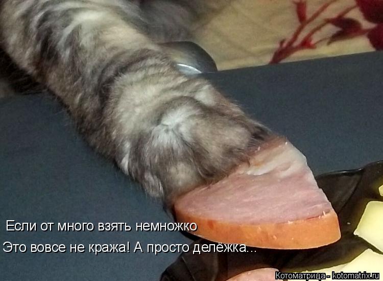 Котоматрица: Если от много взять немножко Это вовсе не кража! А просто делёжка...