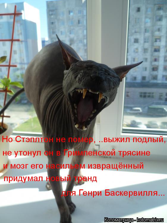 Котоматрица: не утонул он в Гримпенской трясине и мозг его насильем извращённый придумал новый тренд для Генри Баскервилля... Но Стэплтон не помер, ..выжи