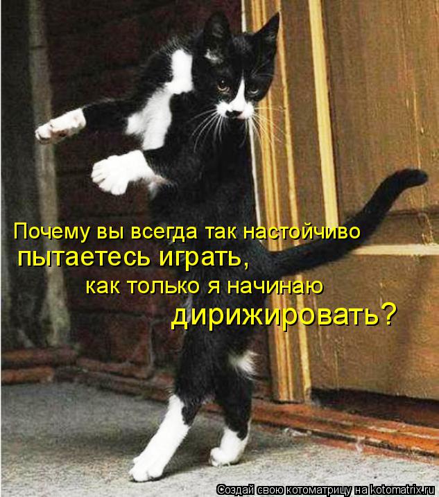 Котоматрица: Почему вы всегда так настойчиво  пытаетесь играть,  как только я начинаю  дирижировать?