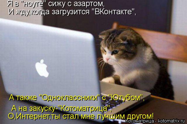 Котоматрица: Я в "ноуте" сижу с азартом, И жду,когда загрузится "ВКонтакте", А также "Одноклассники" с "Ютубом", А на закуску-"Котоматрица", О,Интернет,ты стал