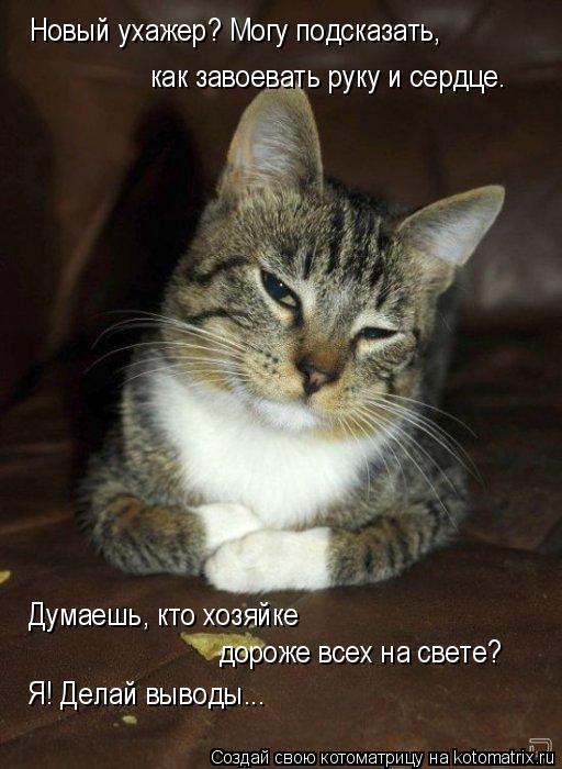 Котоматрица: Новый ухажер? Могу подсказать, как завоевать руку и сердце.  Думаешь, кто хозяйке  дороже всех на свете? Я! Делай выводы...