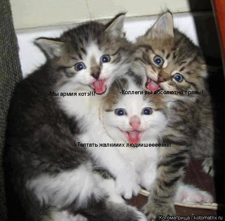 Котоматрица: -Мы армия котэ!!! -Коллеги вы абсолютно правы! -Мы армия котэ!!! -Топтать жалкииих людиишееееекк!