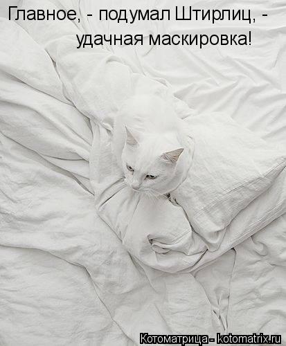 Главное, - подумал Штирлиц, - удачная маскировка!... Котоматрица: Главное, - подумал Штирлиц, - удачная маскировка!