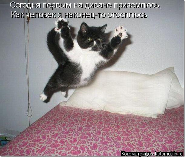 Котоматрица: Сегодня первым на диване приземлюсь, Как человек я наконец-то отосплюсь