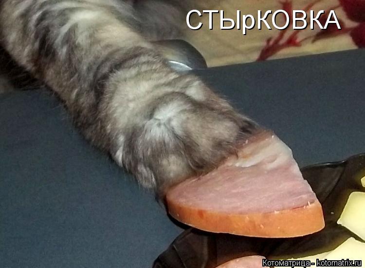 Котоматрица: СТЫрКОВКА