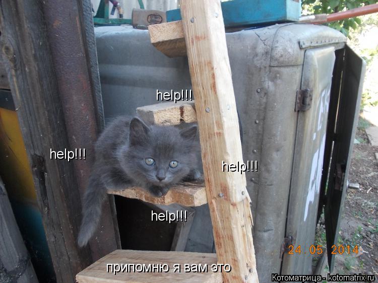 Котоматрица: help!!! help!!! help!!! help!!! припомню я вам это