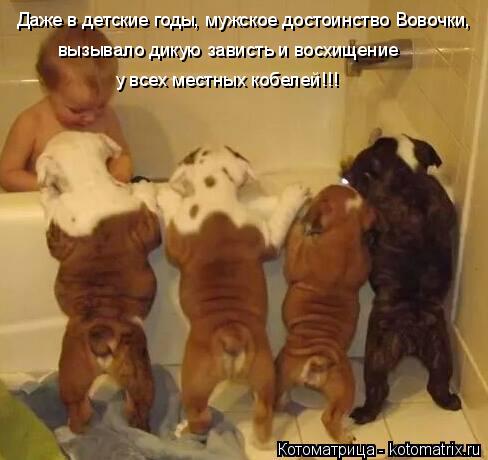 Котоматрица: Даже в детские годы, мужское достоинство Вовочки, вызывало дикую зависть и восхищение у всех местных кобелей!!!