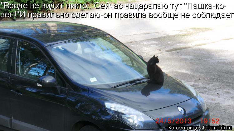 Котоматрица: "Вроде не видит никто...Сейчас нацарапаю тут "Пашка-ко- зёл!"И правильно сделаю-он правила вообще не соблюдает!"