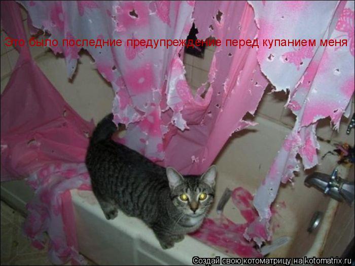 Котоматрица: Это было последние предупреждение перед купанием меня