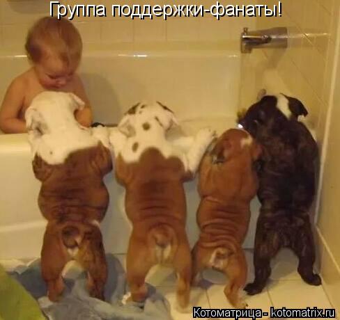 Группа поддержки-фанаты!... Котоматрица: Группа поддержки-фанаты!