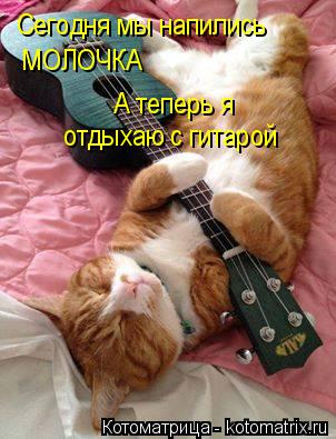 Котоматрица: Сегодня мы напились  МОЛОЧКА А теперь я  отдыхаю с гитарой