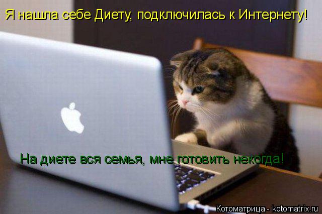 Котоматрица: Я нашла себе Диету, подключилась к Интернету! На диете вся семья, мне готовить некогда!