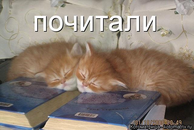 Котоматрица: почитали