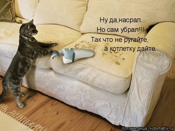 Котоматрица: Ну да,насрал... Но сам убрал!!! Так что не ругайте, а котлетку дайте.