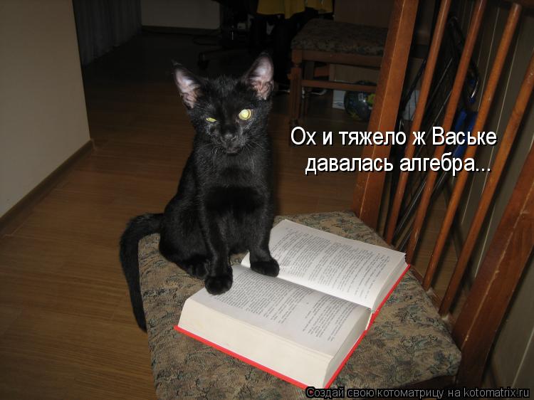 Котоматрица: Ох и тяжело ж Ваське давалась алгебра...