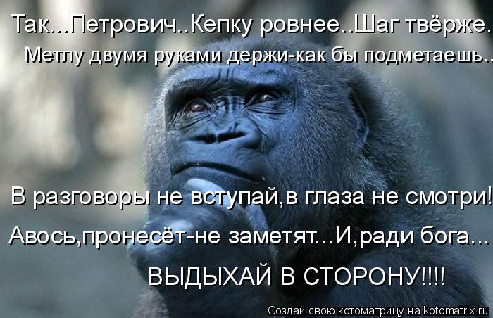 Котоматрица: Так...Петрович..Кепку ровнее..Шаг твёрже.  Метлу двумя руками держи-как бы подметаешь.. В разговоры не вступай,в глаза не смотри! Авось,пронесё