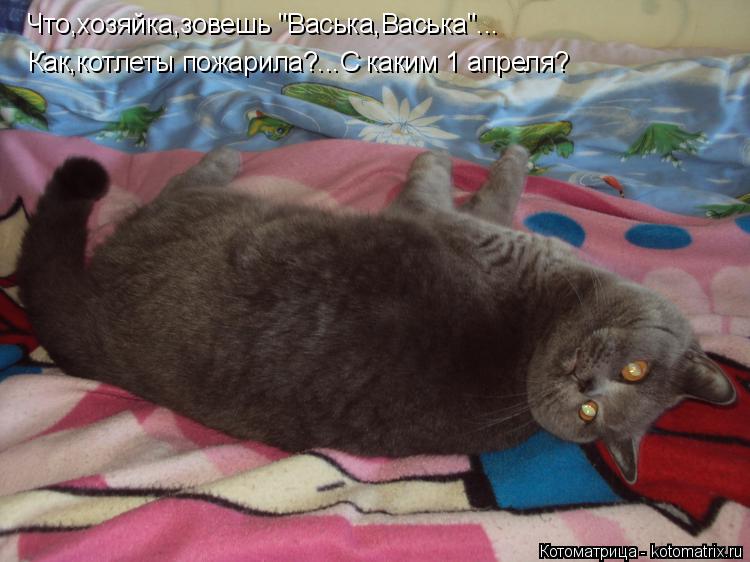 Котоматрица: Что,хозяйка,зовешь "Васька,Васька"... Как,котлеты пожарила?...С каким 1 апреля?