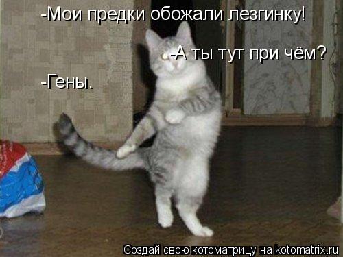 Котоматрица: -Мои предки обожали лезгинку! -А ты тут при чём? -Гены.