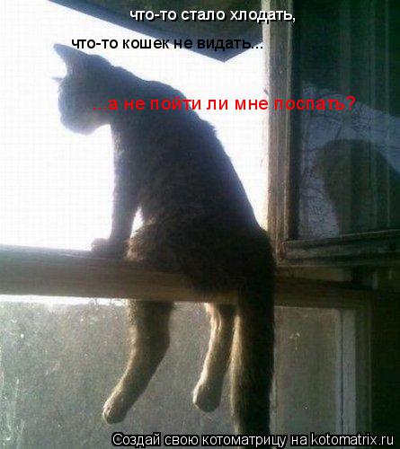 что-то стало хлодать, что-то кошек не видать... ...а не пойти ли мне поспать?... Котоматрица: что-то стало хлодать, что-то кошек не видать... ...а не пойти ли мне поспать?