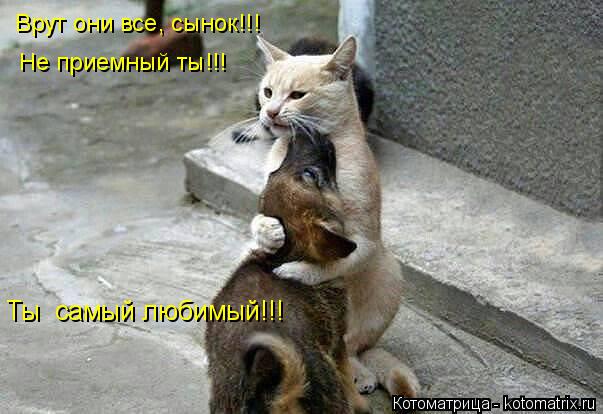 Котоматрица: Врут они все, сынок!!! Не приемный ты!!! Ты  самый любимый!!!