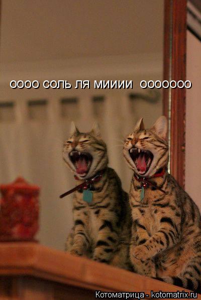 Котоматрица: оооо соль ля мииии  ооооооо оооо соль ля мииии  ооооооо