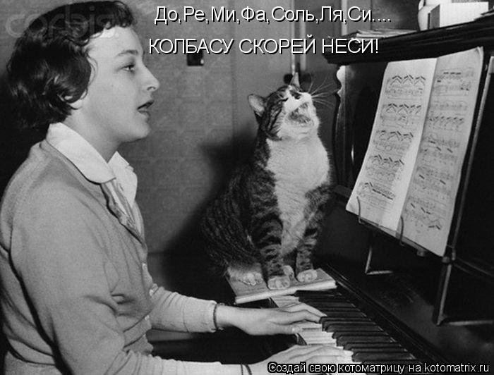 Котоматрица: До,Ре,Ми,Фа,Соль,Ля,Си.... КОЛБАСУ СКОРЕЙ НЕСИ!