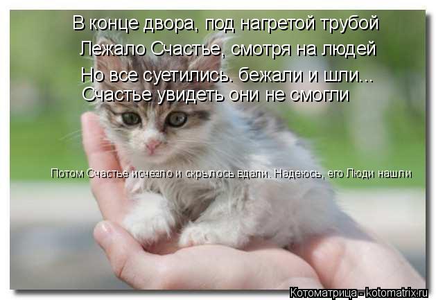 Котоматрица: В конце двора, под нагретой трубой Лежало Счастье, смотря на людей Но все суетились. бежали и шли... Счастье увидеть они не смогли Потом Счаст