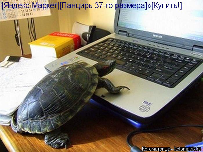 Котоматрица: |Яндекс.Маркет|[Панцирь 37-го размера]»[Купить!]