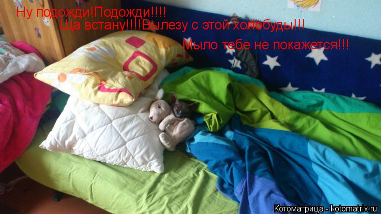 Котоматрица: Ну подожди!Подожди!!!! Ща встану!!!!Вылезу с этой холобуды!!! Мыло тебе не покажется!!!